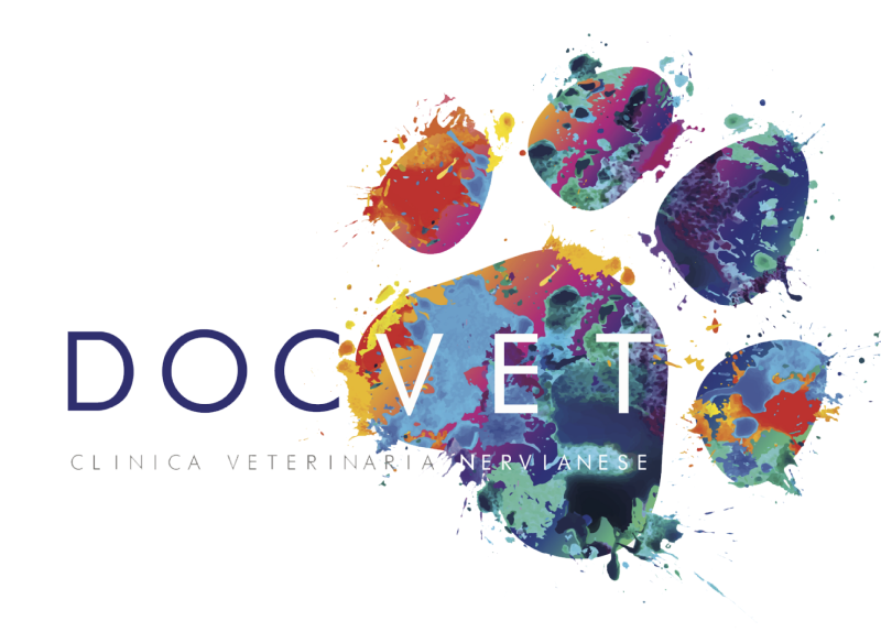 logoDocVet